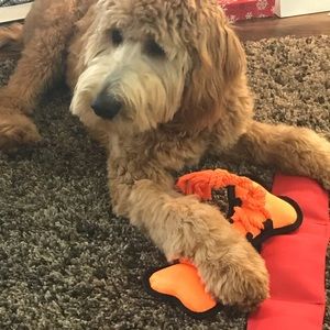 Meet your Posher, Christine